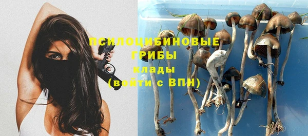 амф Абдулино