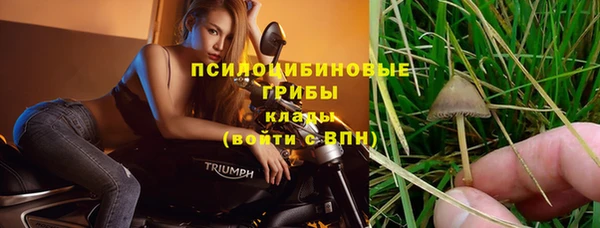 бошки Абинск