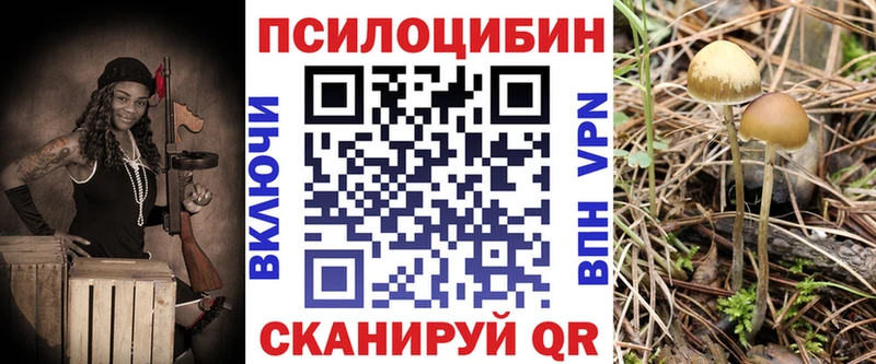 Галлюциногенные грибы GOLDEN TEACHER  дарк нет клад  Тбилисская  что такое наркотик 